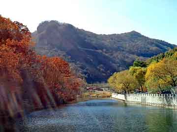 新澳天天开奖资料大全旅游团，重生豪门日记